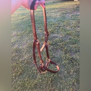 Leather horse/mule sized halter